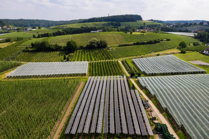 Hopfengärten mit Solarpanelen Luftaufnahme von Hopfengärten mit Solarpanelen.