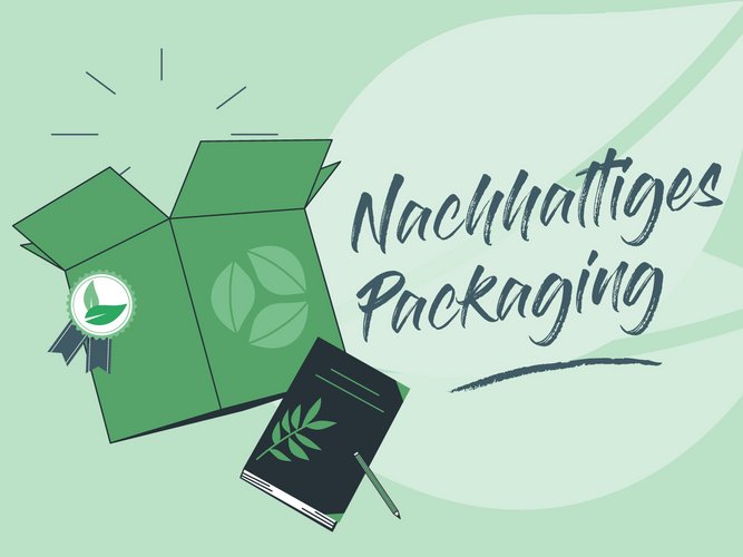 Nachhaltiges Packaging Bloggrafik Nachhaltige Verpackungslösung Grafik mit einem Karton.