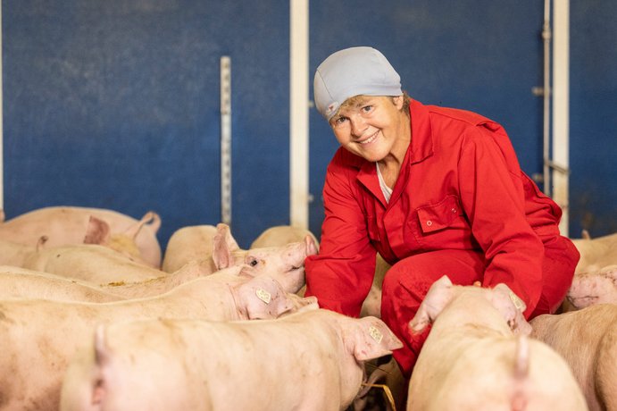 Landwirtin mit Schweinen Eine Landwirtin im roten Overall kniet inmitten von Schweinen in einem Stall und lächelt in die Kamera.