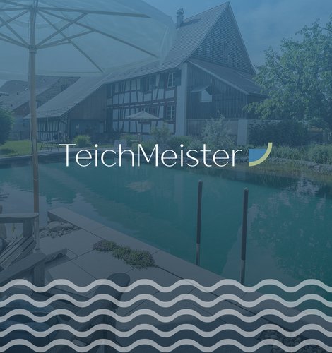 Teichmeister