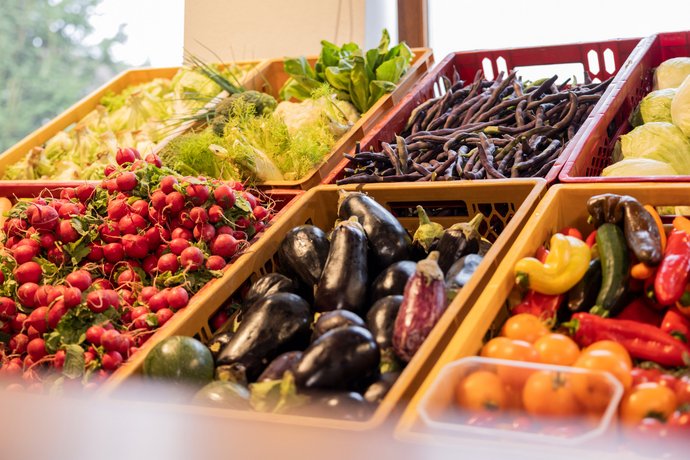 Gemüseauslage der Tettnanger Tafel