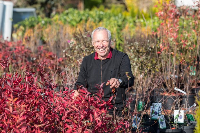 Blumenhaus Gärtnerei Weißhaupt