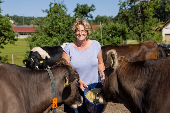 Landwirtin füttert Kühe Eine Landwirtin füttert mehrere Kühe mit Trockenfutter aus einem schwarzen Eimer und lächelt dabei in die Kamera.